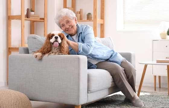 Geriatricarea- mascotas y personas mayoes