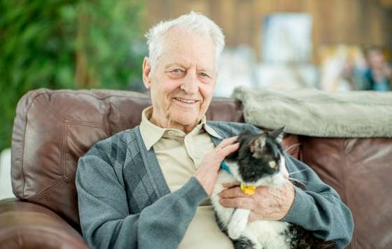 Geriatricarea- mascotas y personas mayoes